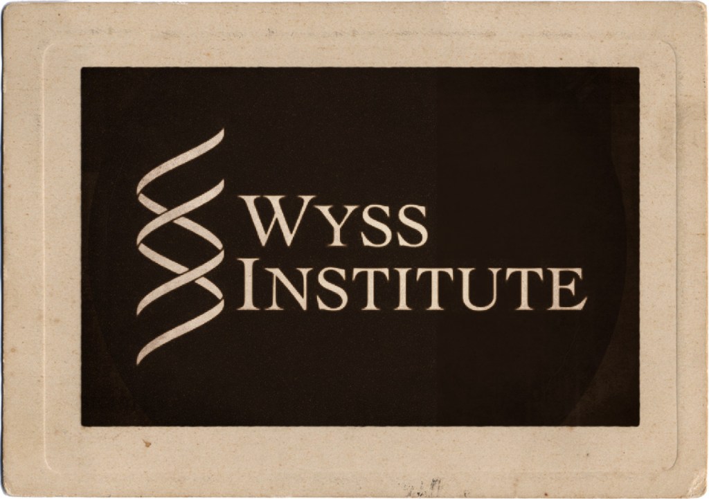 Co-Axial SWIFT – Embedding Biomimetic Vascular Networks with Co-axial Sacrificial Writing into Functional Tissue&nbsp;Introduction
