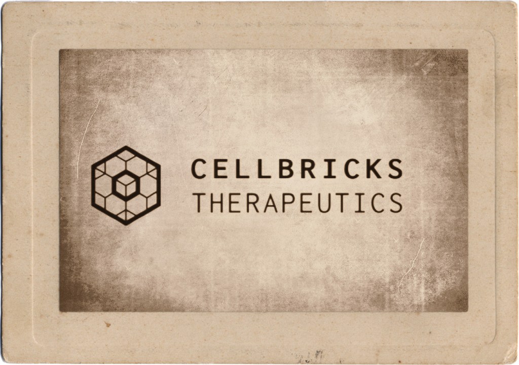 Cellbricks Reports Preclinical Success with Bioprinted Tissue in&nbsp;Mice