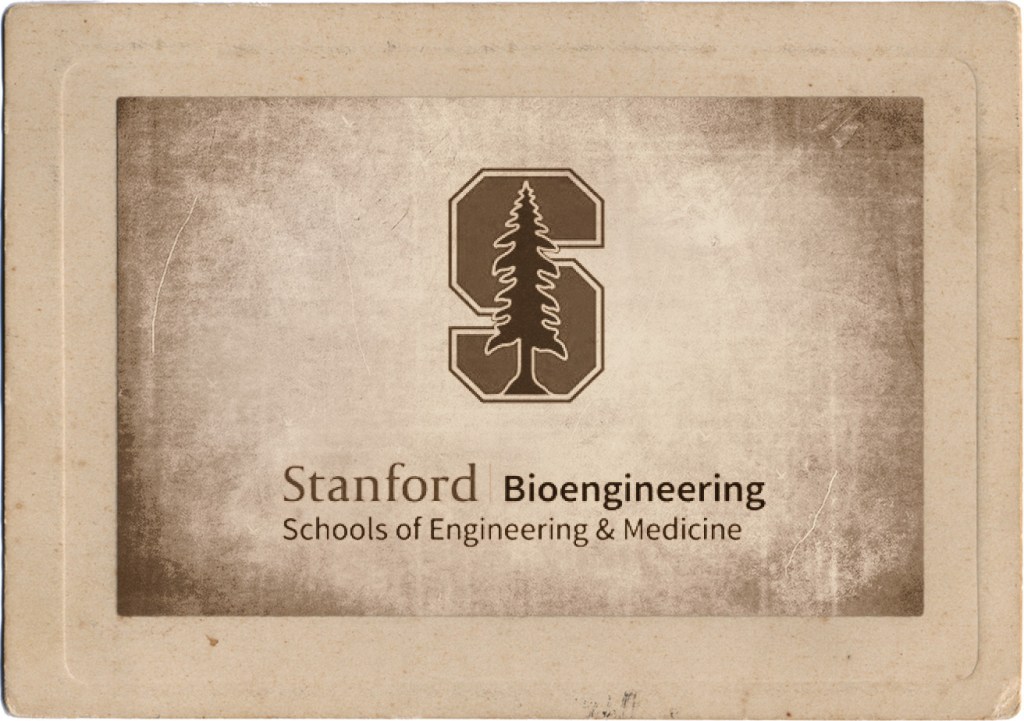 Stanford Accelerates Vascular Modeling for Organ&nbsp;Bioprinting