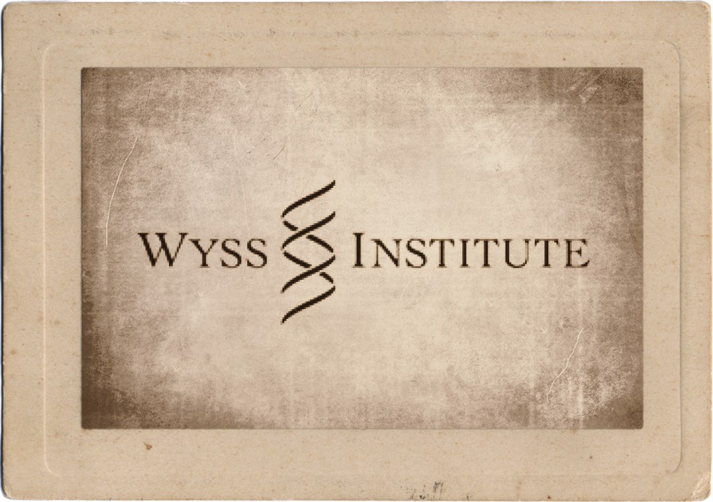 Wyss Institute-Led Team Wins ARPA-H PRINT Award to Engineer Universal, Transplant-Ready Liver Grafts known as&nbsp;ImPLANT